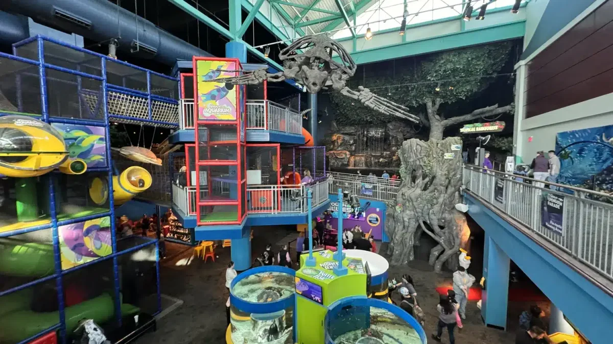 Shark tunnel at Ripley's Aquarium of the Smokies